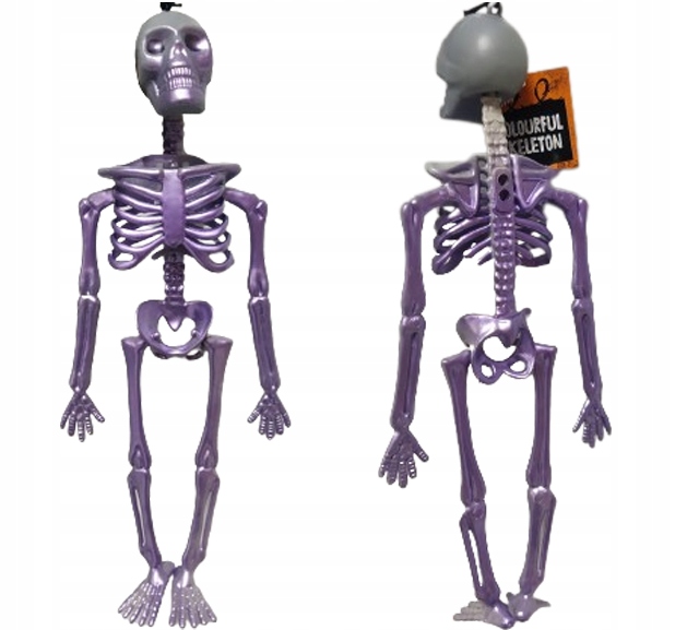 KOSTRA ĽUDSKEJ KOSTRA LEBEKA HALLOWEENSKÁ DEKORÁCIA 33 cm